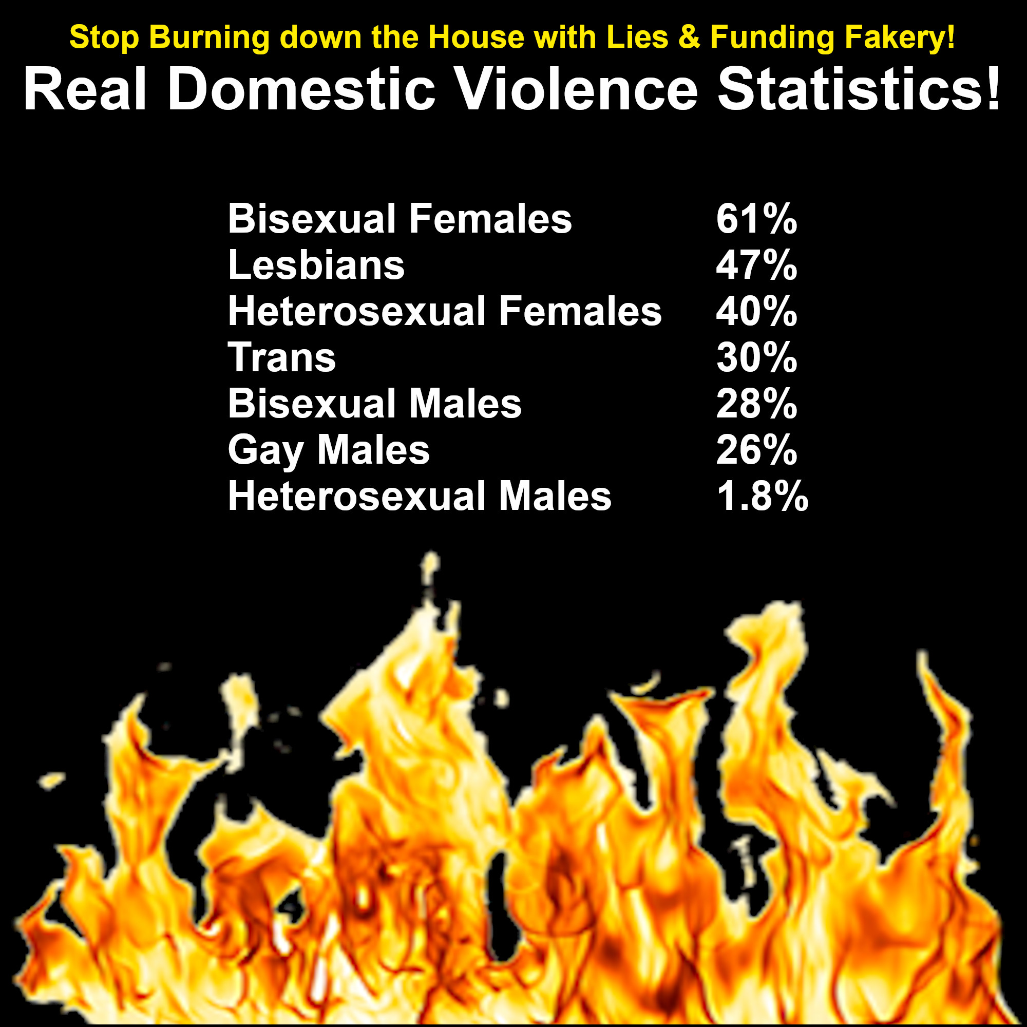 Real Domestic Violence Stats